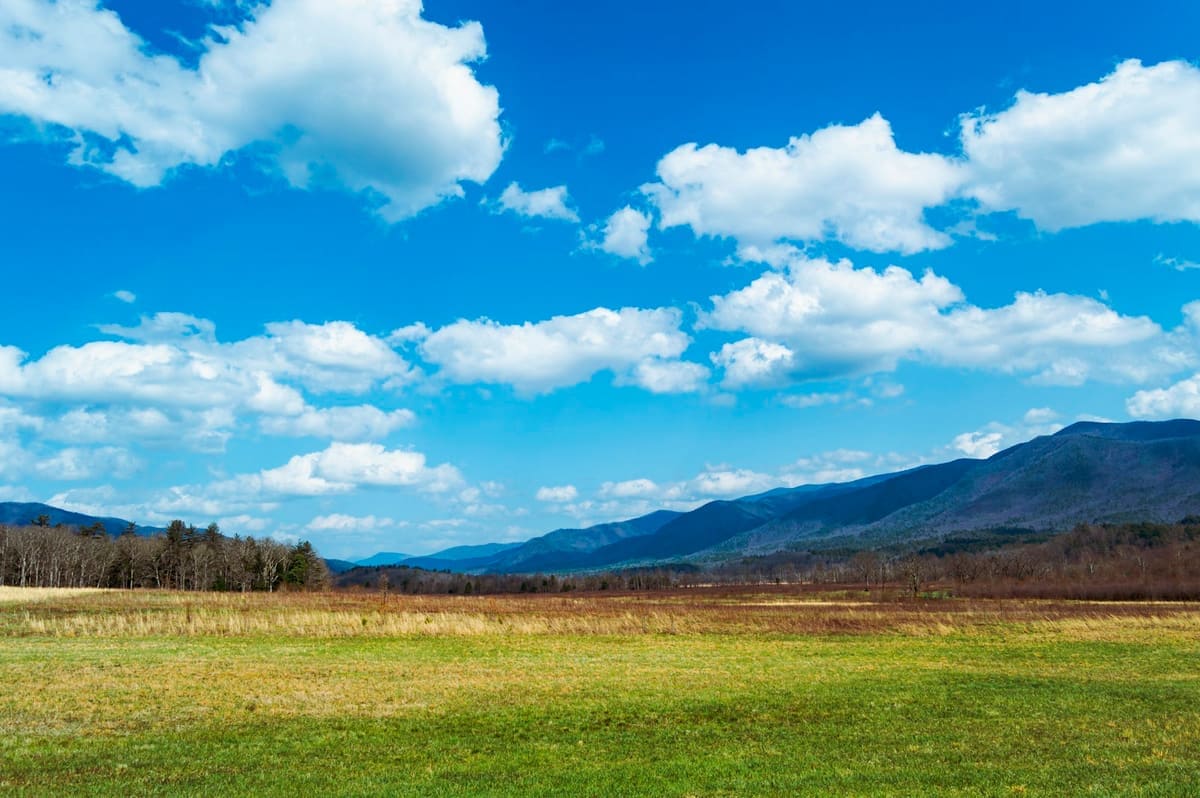 Illustrative landscape of the Northeast Tennessee mountains and Tri-Cities region we serve